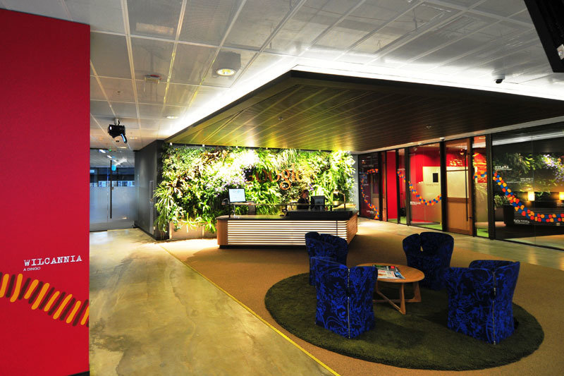 Inside the Google Pyrmont office.